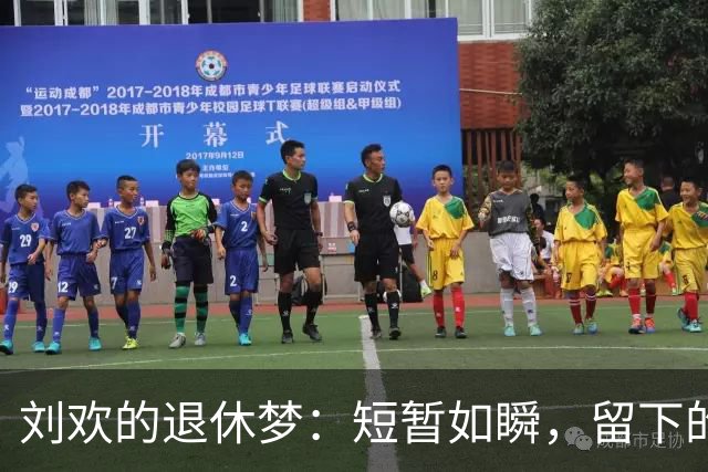 刘欢的退休梦：短暂如瞬，留下的却是无尽遗憾